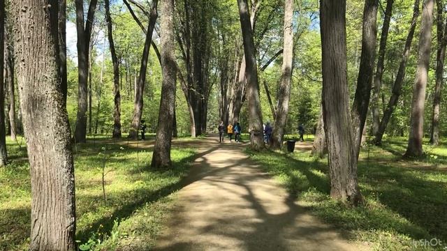 Спасское-Лутовиново, дом-музей Ивана Тургенева, 7 мая 2023 г. смотреть онлайн