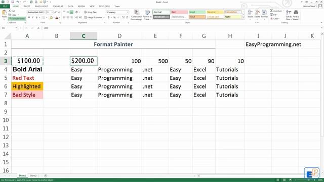 Easy Excel 2013 - Beginner Excel Tutorial - Format Painter (9)