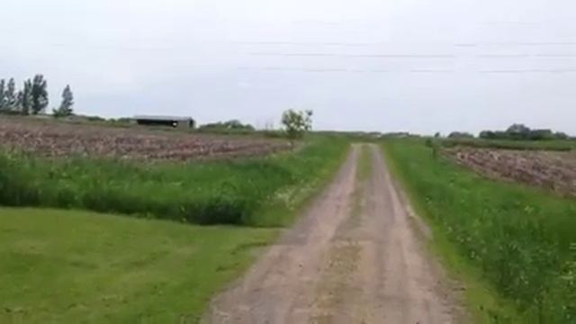 48645 Acacia Trail, Stanchfield, mn - front смотреть онлайн