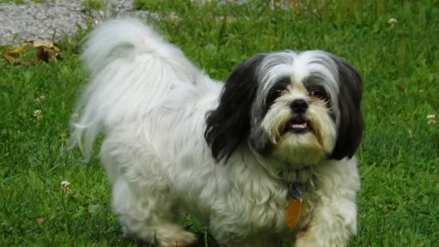 Weekly Photos #1 Fujifilm Finepix S4500 смотреть онлайн