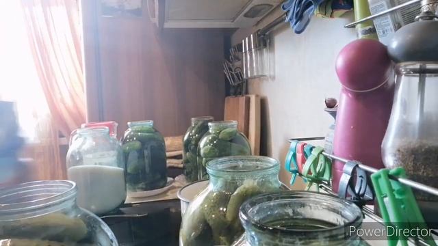 Супер рецепт хрустящих маринованных огурчиов
