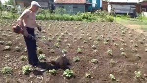 СДЕЛАЙ САМ.  Механическая прополка огорода