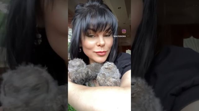 Самое любимое занятие с ними понянчиться ☺️?❤️#музейсовушек #филосовия #совята #owls смотреть онлайн