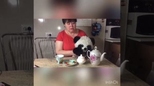 Занятие.Вторая младшая группа. Тема:Посуда