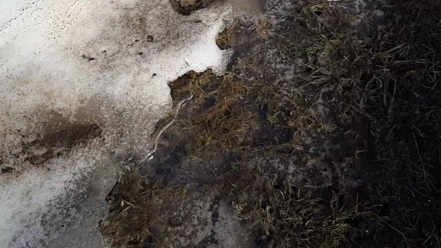 РАССАДА В ТЕПЛИЦЕ РАННЕЙ ВЕСНОЙ смотреть онлайн