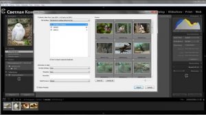 Урок 004 полного русского курса Lightroom 2