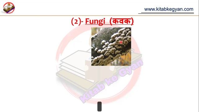 Micro-Organisms (Part-1)/ Classification of Microorganisms || kitab ke gyan смотреть онлайн