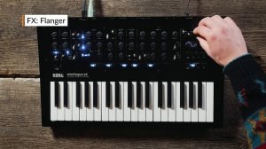 Korg Minilogue XD Polyphonic Analogue Synthesizer | Reverb Demo Video