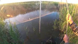 Рыбалка на паук! Поймали КАРПА