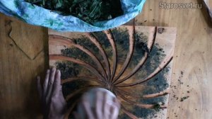 Доска для скручивания листьев в процессе ферментации. Ферментация иван-чая. Алгиз Старосвет