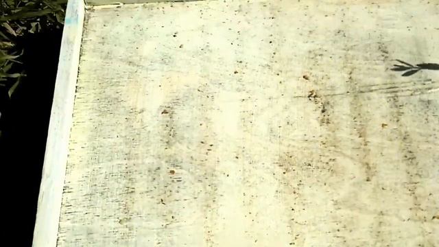 Окончание медосбора Часть 2 смотреть онлайн