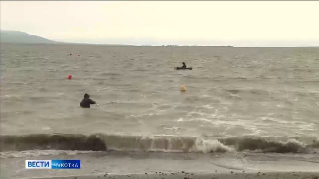 Чукотку не поддержали в вопросе ограничения вывоза икры смотреть онлайн