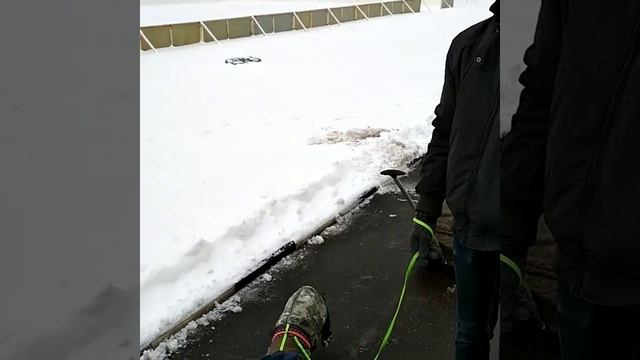 Портос - любитель прогулок смотреть онлайн