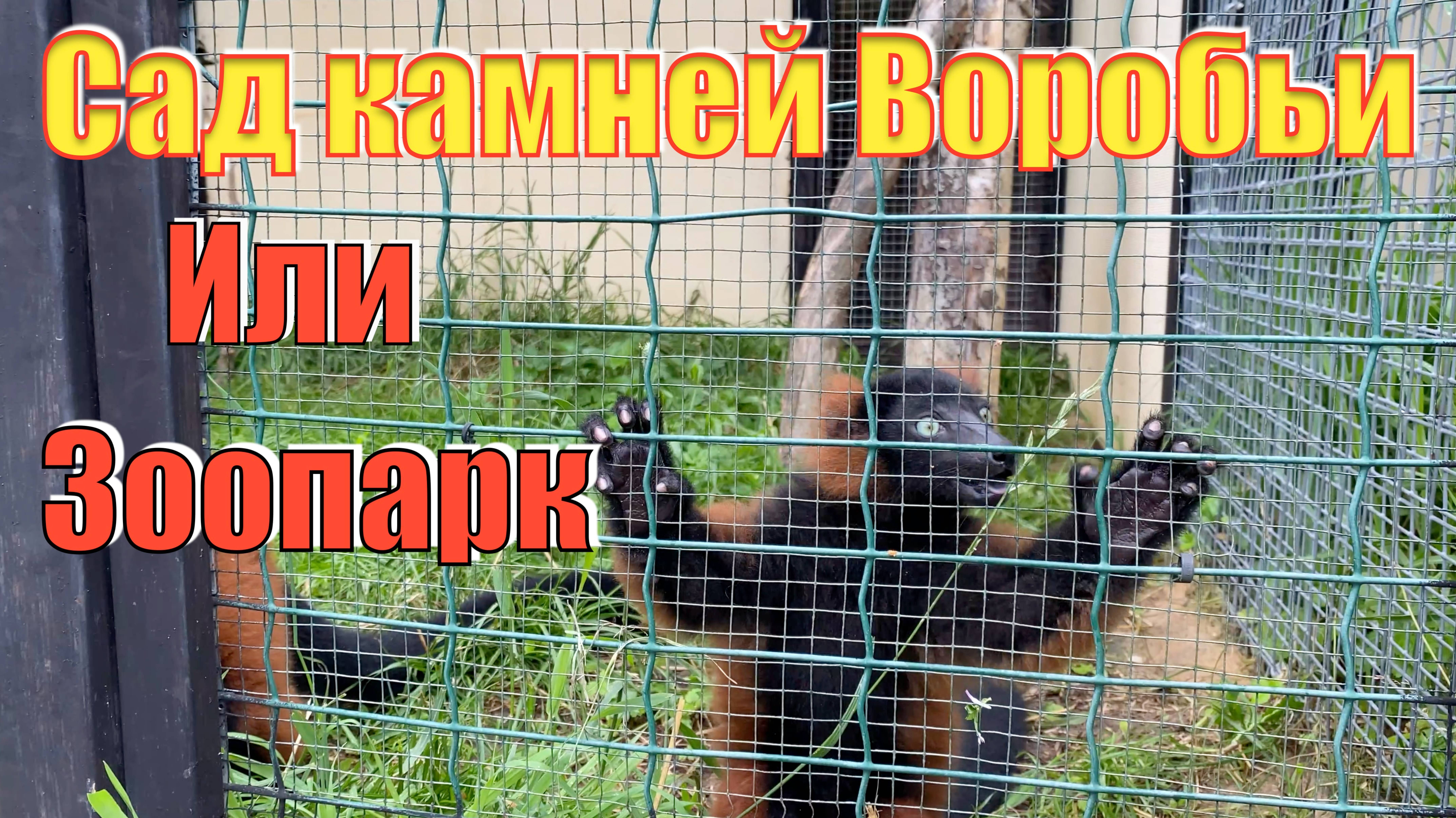 Сад камнеи Воробьи и Парк птиц Воробьи в Калужской области