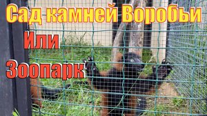 Сад камней Воробьи и Парк птиц Воробьи в Калужской области