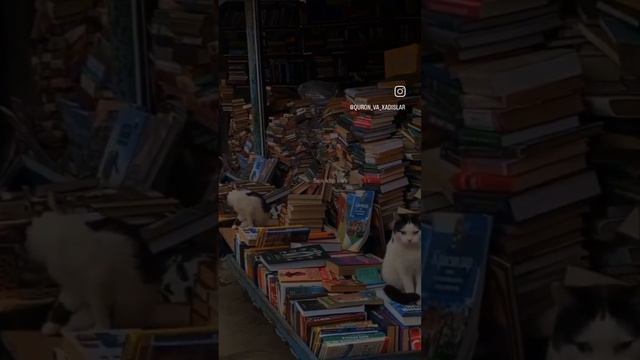 VID_39820607_202309_861.mp4