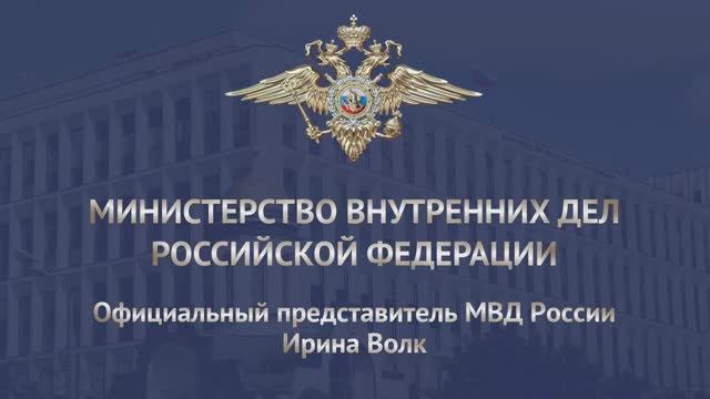 Ирина Волк: В Санкт-Петербурге завершено расследование уголовного дела об интернет-мошенничестве
