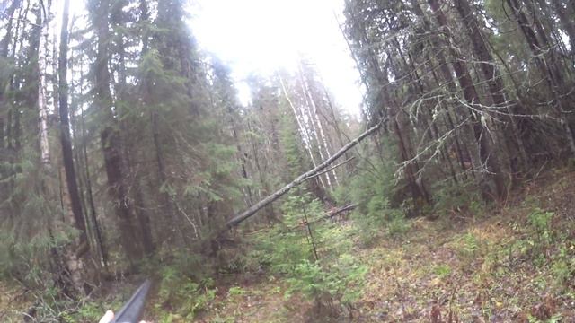 охота на зайца с русскими-пегими, часть 4 смотреть онлайн