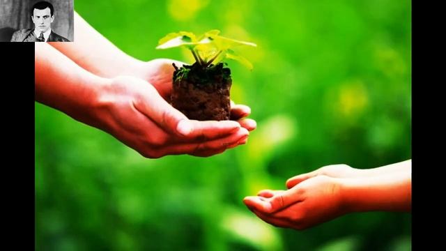 За ласковое слово человечье Майский Жук смотреть онлайн