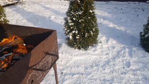 РЕЦЕПТ ШАШЛЫКА ИЗ БЫЧЬИХ и БАРАНЬИХ ЯИЦ !! МУЖИКАМ СОВЕТУЮ!!!