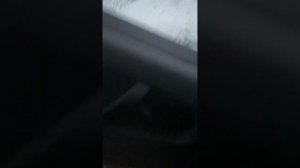 Не горят передние ПТФ ваз 2115, что делать, помогите?
