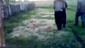 Будни сельских бухариков