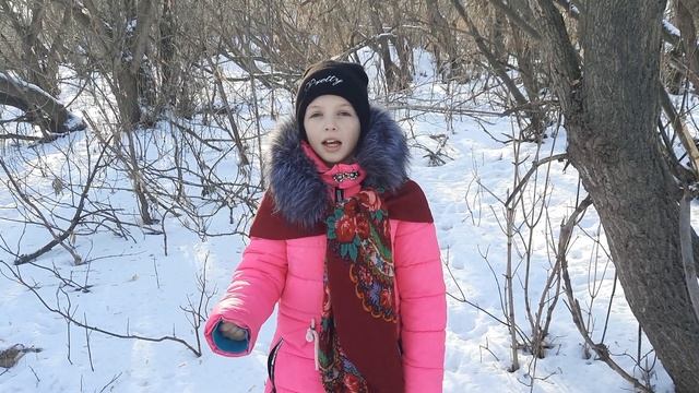 Литературная акция «Некрасов вслух». Анастасия Логинова