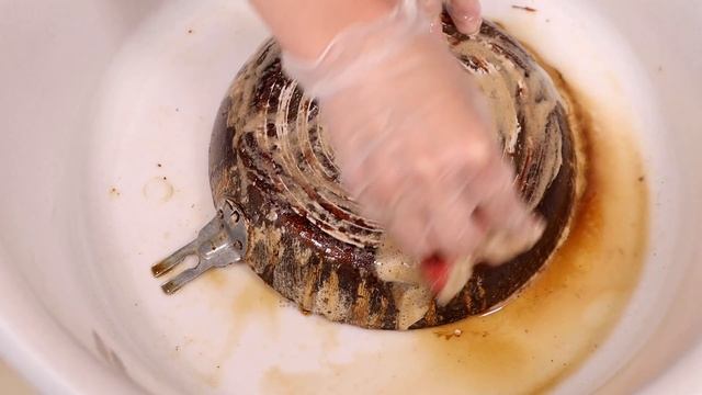 Без Запаха, Нашатыря и АЗЕЛИТА очистить от НАГАРА и ЖИРА посуду, сковороду, духовку, решетку.