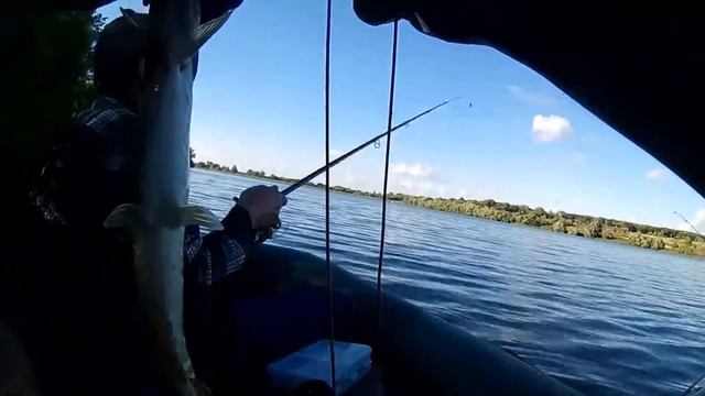 Щука в Миролюбово, Фатежский район Курской области смотреть онлайн