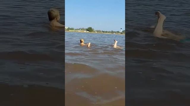 озеро Лиман,Евпатория,Заозёрное 2021г. смотреть онлайн