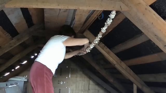 ВЛОГ Поездка в лес Молодая картошка с грибами Сушим грибы смотреть онлайн