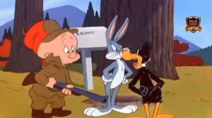 Хьа дог ду😹😹