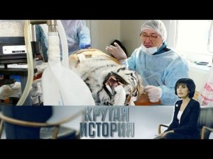 "Крутая история": "Адвокат тигра"