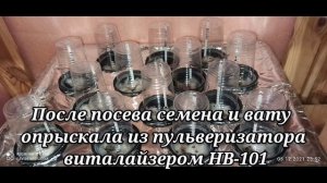 Гидропоника дома. Без лишней воды