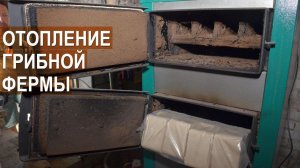 Отопление грибной фермы.Твердотопливный котел на брикетах. Агрофирма "Грибы Урала"