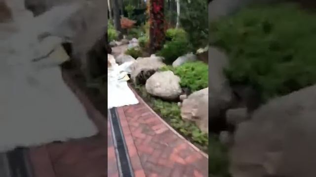 Благоустройство - мощение дорожек брусчаткой