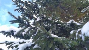 СТЕПАНОВ ДЕНЬ 9 января. ОБРЯД на КРАСОТУ.ЧТО НЕЛЬЗЯ ДЕЛАТЬ.ПРИМЕТЫ