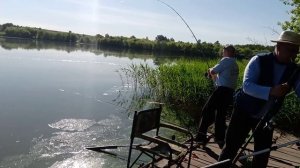 Рыбалка в Знаменка Курская обл. Горшеченский район 14 июня 2019 г.