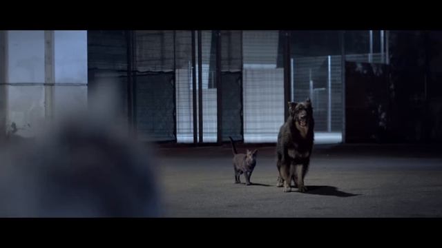 Blue Cross: I will survive смотреть онлайн