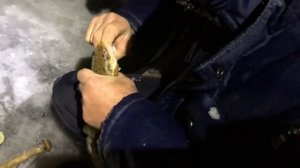 Рыбалка на налима со льда 2. Река Унжа, Костромская область, Макарьевский район.