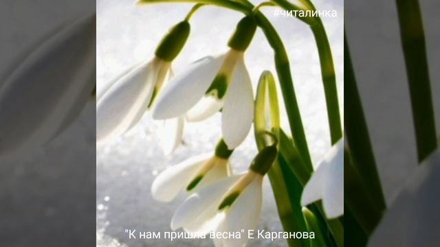 «К НАМ ПРИШЛА ВЕСНА» Е.Карганова