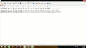 Hex To BMP: Creating a Bitmap From Scratch