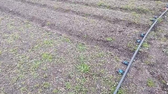 #192 Жизнь станичная/Придётся делать новое крыльцо.Продолжение отмостки. Дом на Юге.