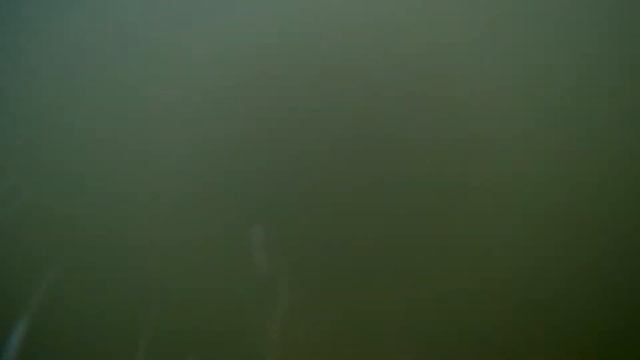 Ледяной заплыв на Свияге. Вода 2,5С. Дистанция 600м. смотреть онлайн