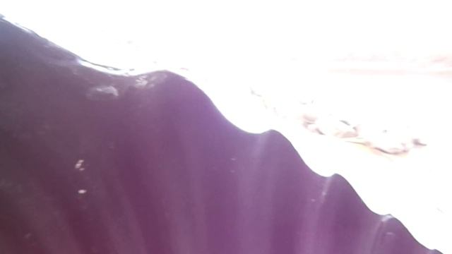 ЧЁ ЗА ДИЧЬ Я СНЯЛ?! смотреть онлайн