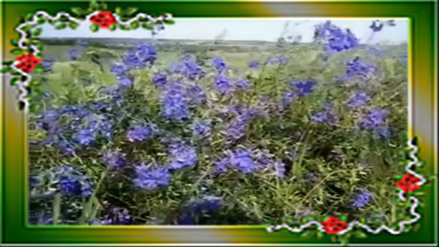 На счастье смотреть онлайн