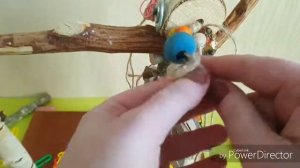 КАК СДЕЛАТЬ ИГРУШКУ ДЛЯ ПОПУГАЕВ СВОИМИ РУКАМИ/ How to make a toy for parrots with your own hands?