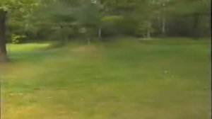 Тест Носова. Проверка Мастино Неополитано. Слушать коментарии к видео. Фигурант Носов Владимир.