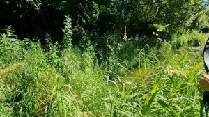 Боуфишинг с традиционным луком. Без гарпунов и катушек.