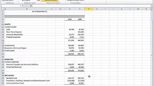 Non-Profit Organization (NPO) Excel Financial Statement Generator - Quick Overview смотреть онлайн